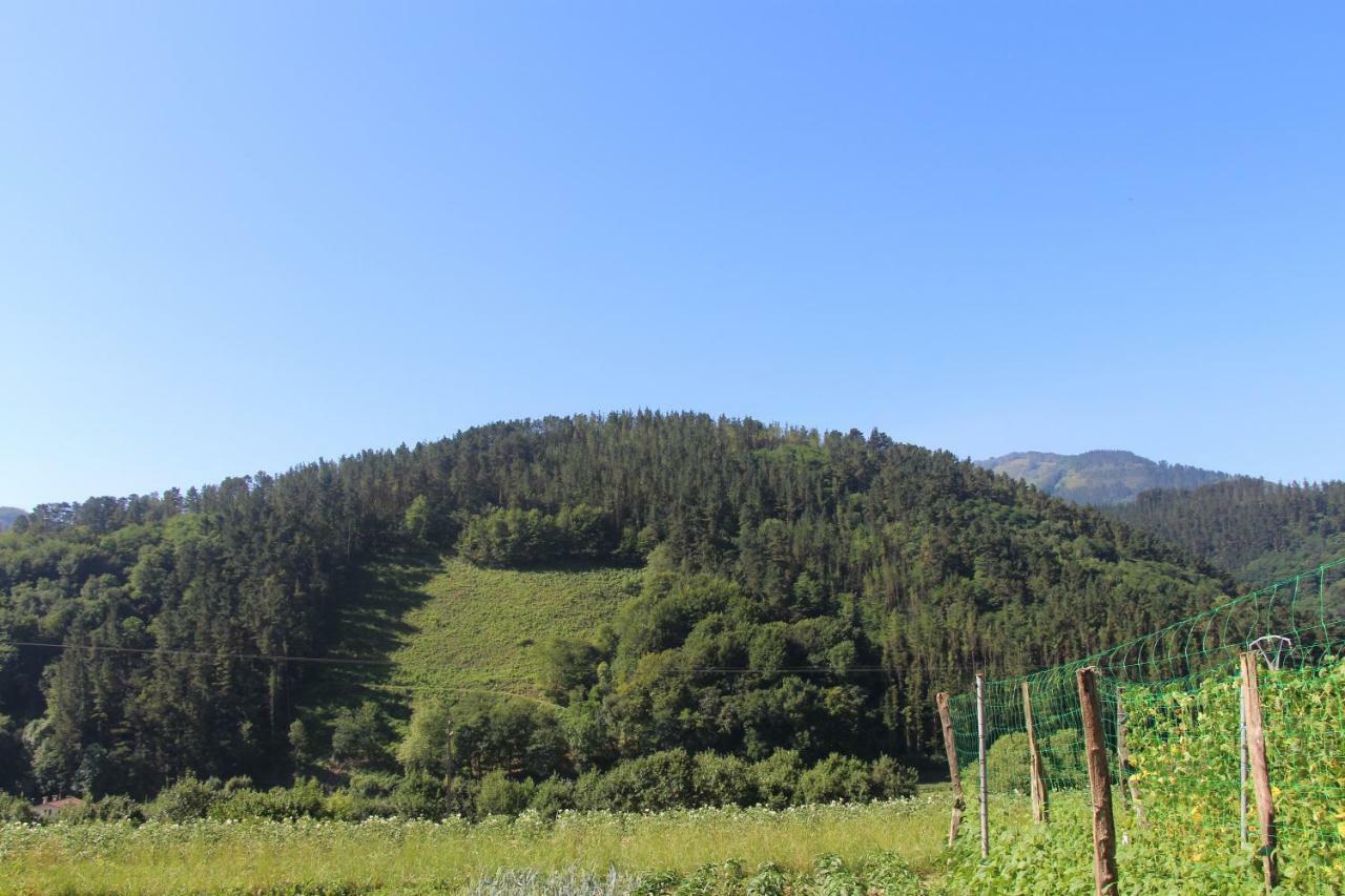 Balentziaga Villa Azcoitia Bagian luar foto
